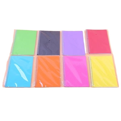 Minimalist Notepad Set Solid Color Coil Design Meerdere kleuren en papier voor 2024 Gift