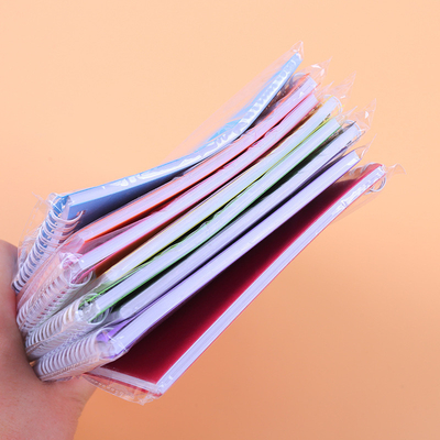 Minimalist Notepad Set Solid Color Coil Design Meerdere kleuren en papier voor 2024 Gift