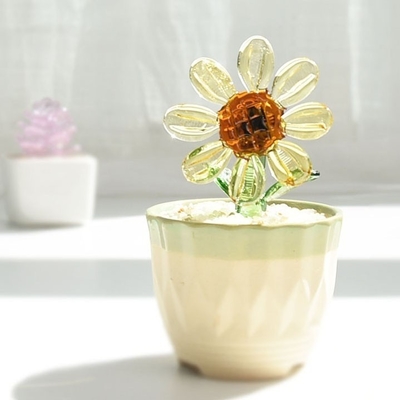 Promotie Verfraaien cadeautjes Glas ornamenten voor succulente cactussen en potplanten