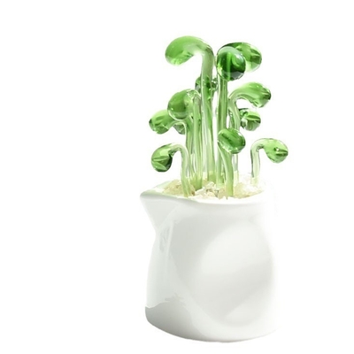 Promotie Verfraaien cadeautjes Glas ornamenten voor succulente cactussen en potplanten